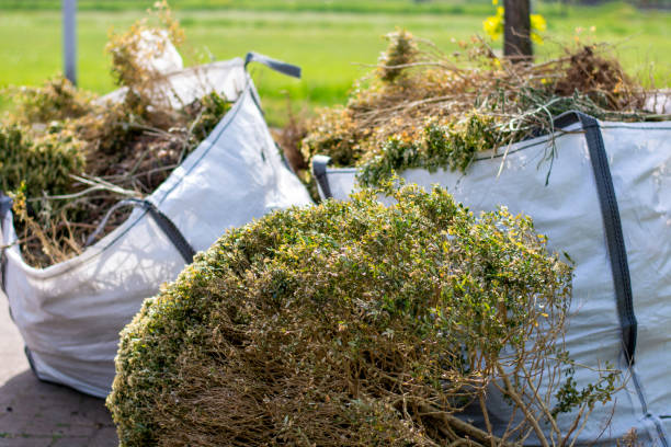 Best Basement Cleanout  in Pittsfield, IL